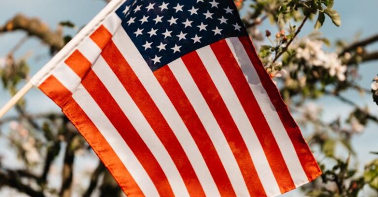 Equity - Flag of USA near blooming bush under cloudy sky