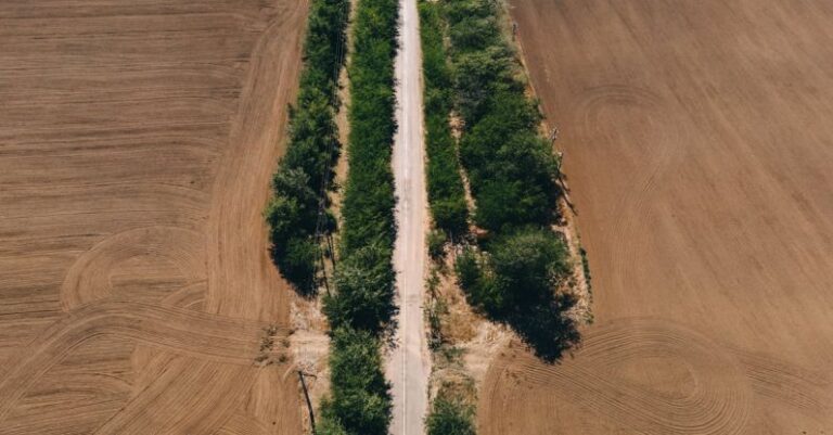 Land Valuation - Road in the Middle of Fields