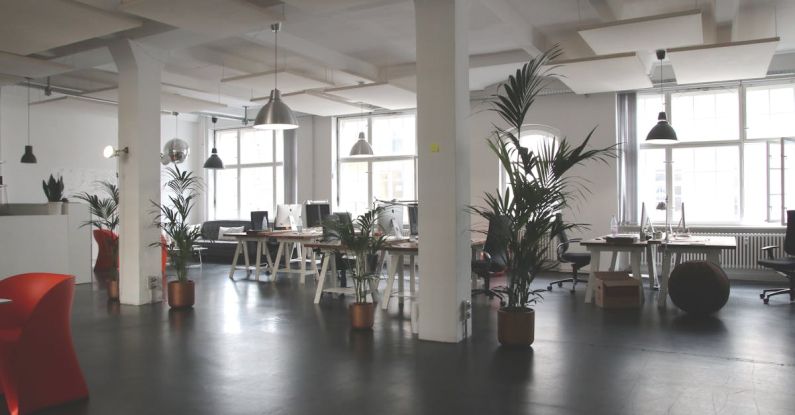 Office - Green Leafed Plants